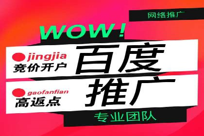 SEM竞价员实战案例：精准营销策略